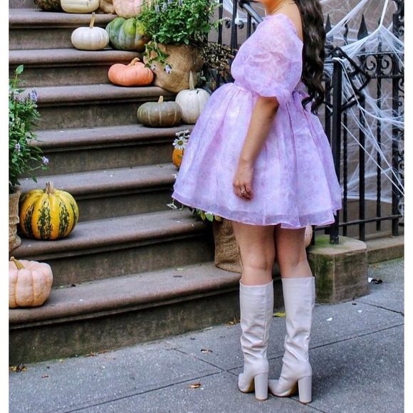 Fanciful Doll Floral Organza Mini Babydoll Dress Purple Pink Size Small - Picture 13 of 15